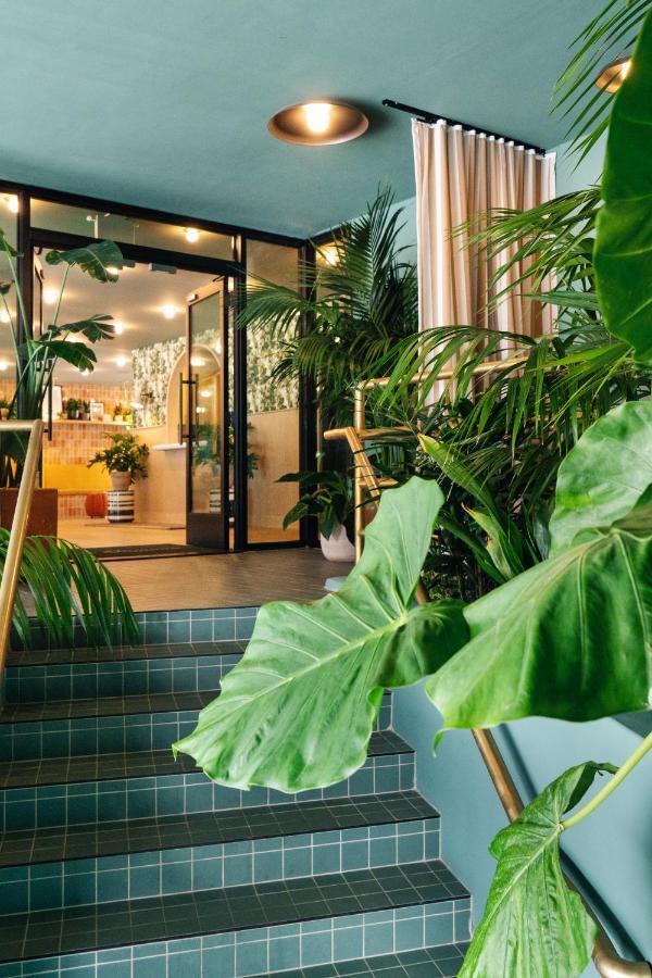 Palihotel Hollywood Near Universal Studios Los Angeles Zewnętrze zdjęcie